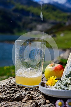 Glass of natural Asturian cider made fromÂ fermented apples, Asturian cabrales cow blue cheese with view on Covadonga lake and